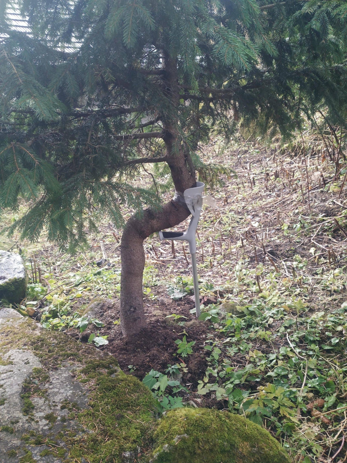 randompics1744_062