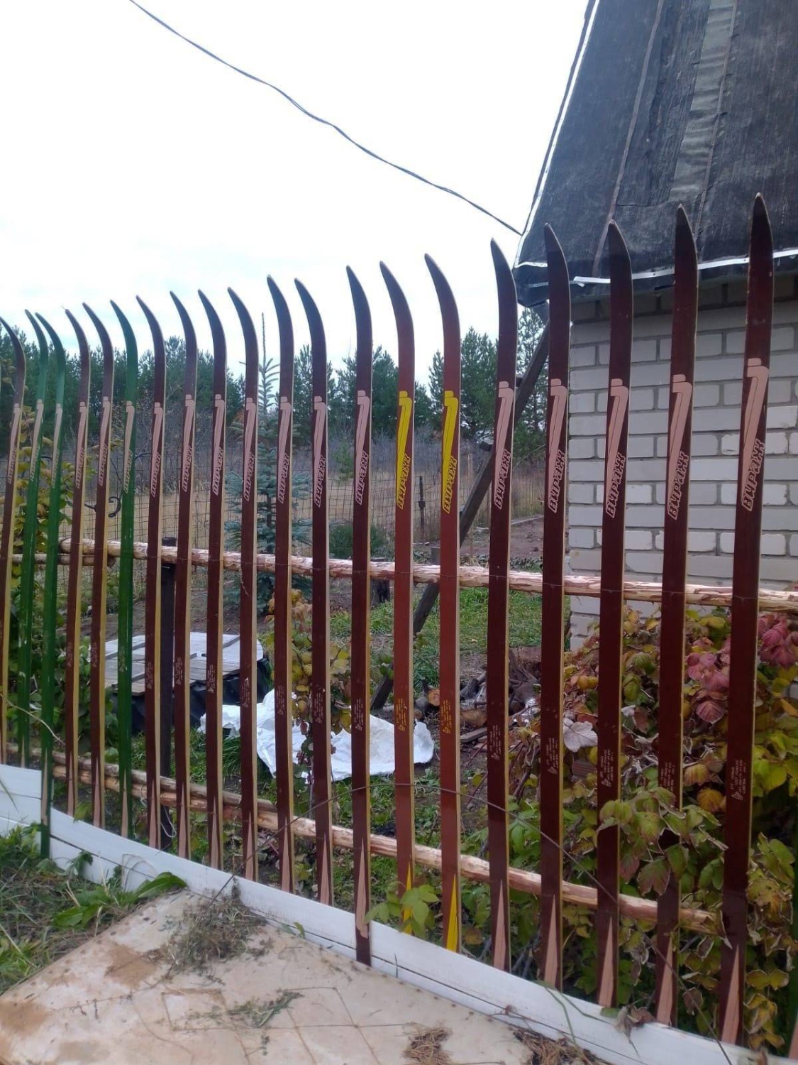 randompics1744_068