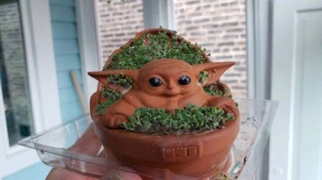 strangedesigns53_029