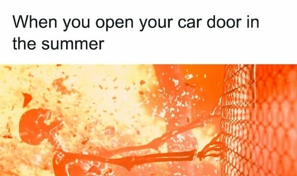 summermemes3_013