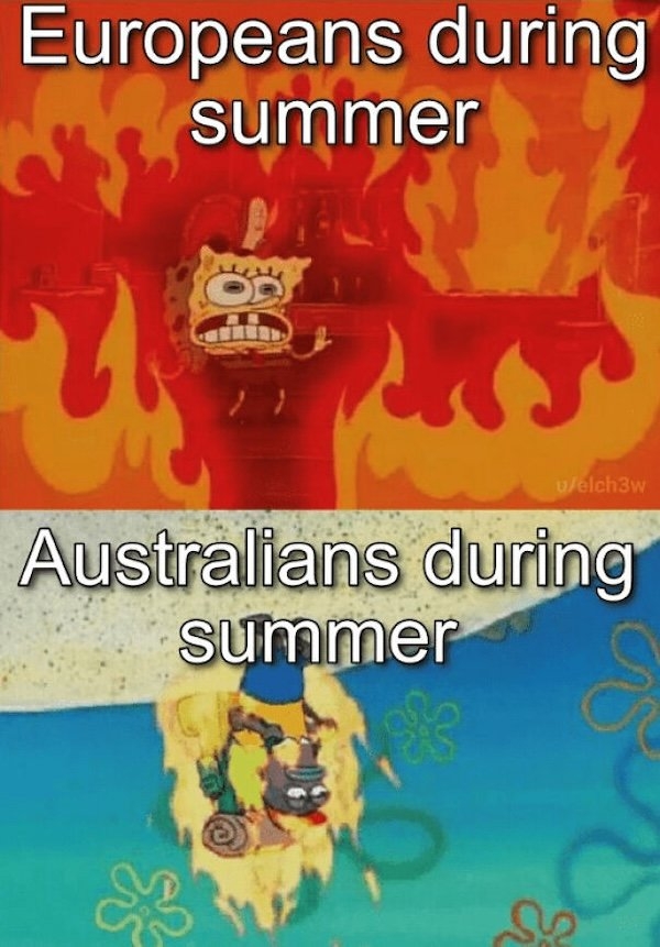 summermemes3_022
