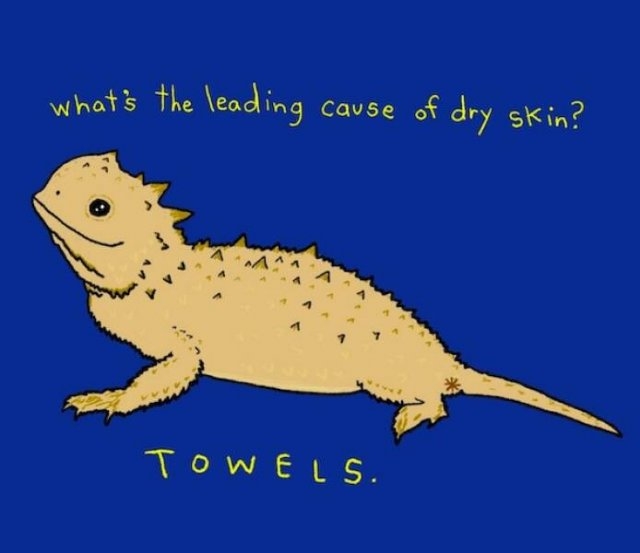 funnymemes364_033