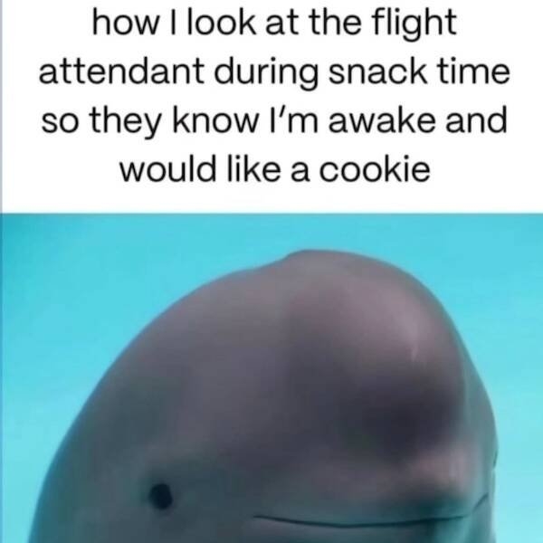 funnymemes364_034