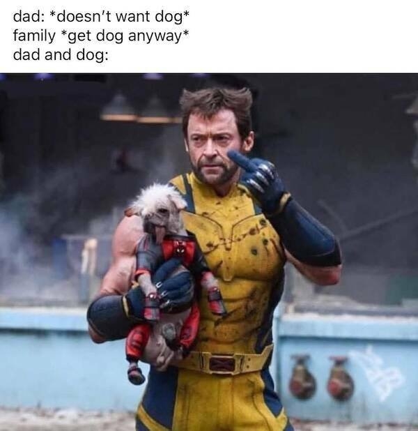 funnymemes364_038