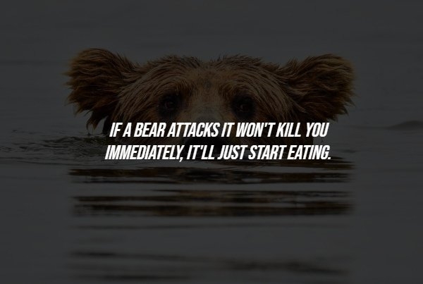 interestingfacts284_001