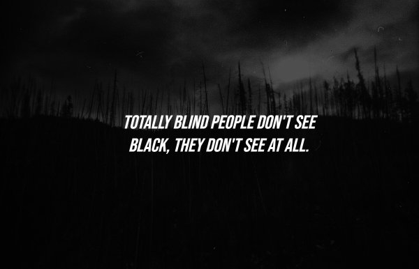 interestingfacts284_003