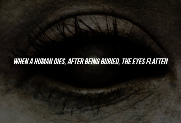 interestingfacts284_004