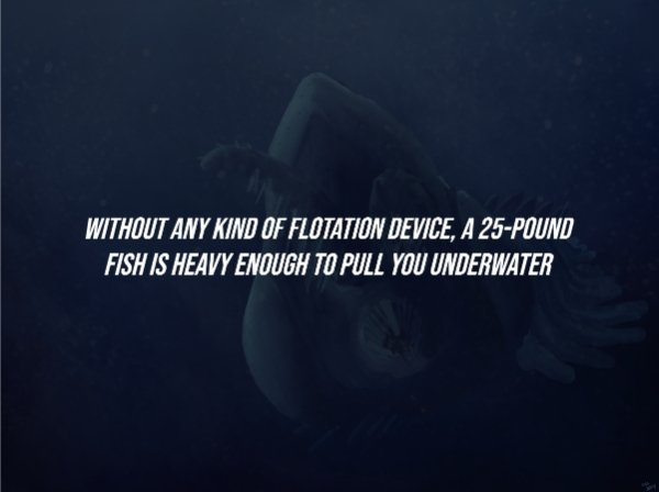 interestingfacts284_005