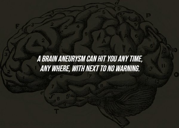 interestingfacts284_006