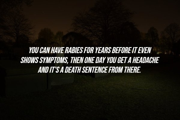 interestingfacts284_012