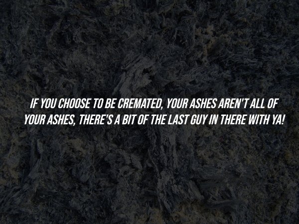 interestingfacts284_015