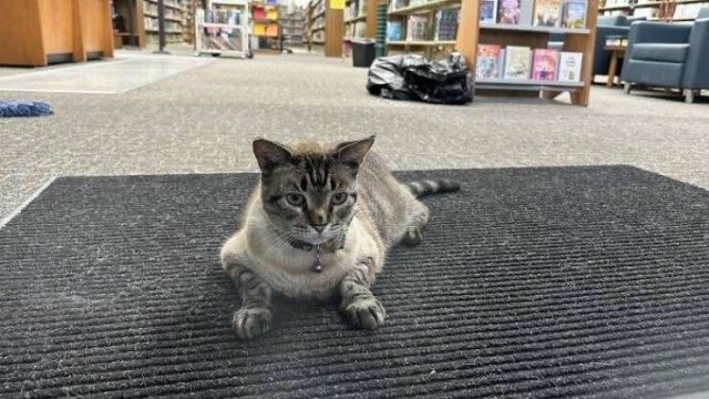 interestingfacts285_002