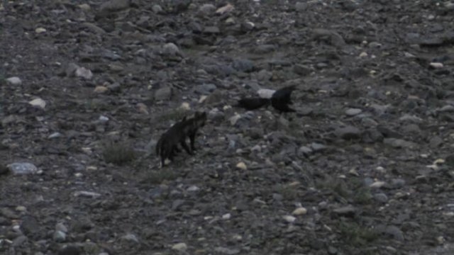 interestingfacts285_018