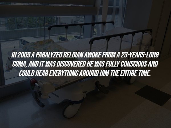 interestingfacts286_002