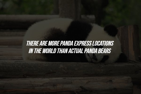 interestingfacts286_010