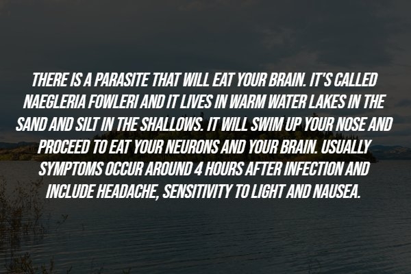 interestingfacts286_012