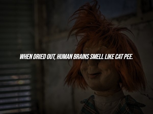 interestingfacts288_002