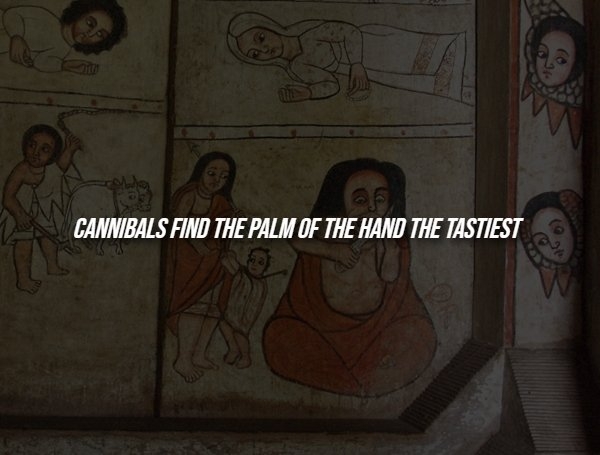 interestingfacts288_003