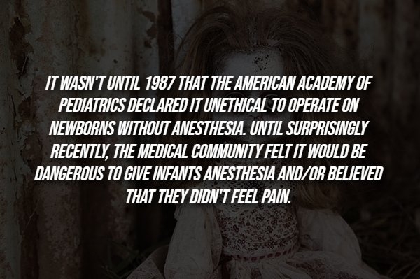 interestingfacts288_004