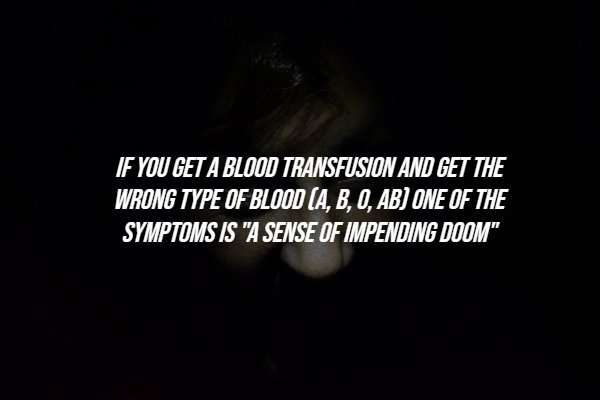 interestingfacts288_006