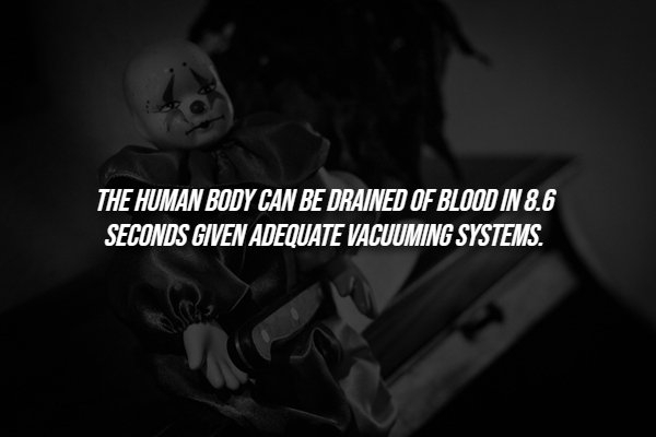 interestingfacts288_007