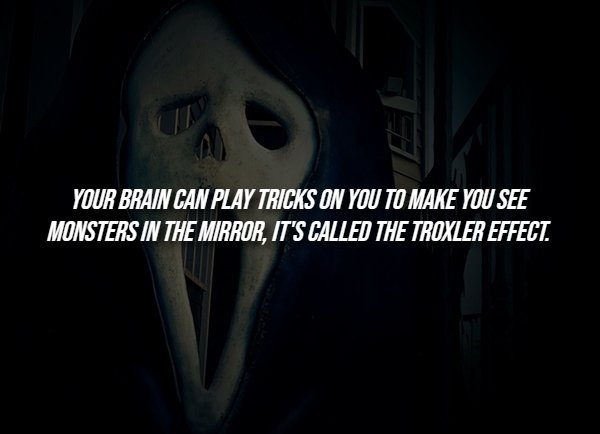 interestingfacts288_008