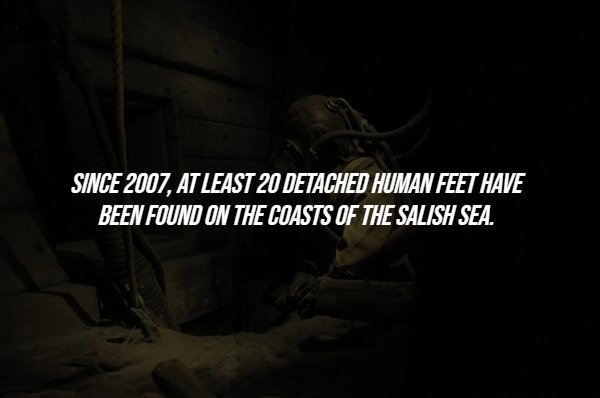 interestingfacts288_009