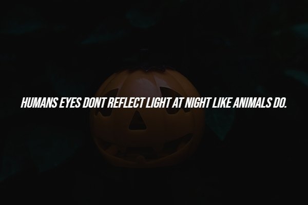 interestingfacts288_010