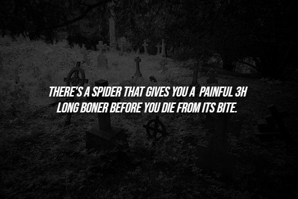 interestingfacts288_013