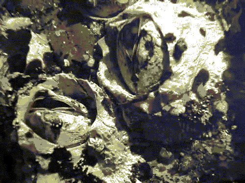 interestingfacts289_009