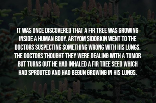 interestingfacts291_001