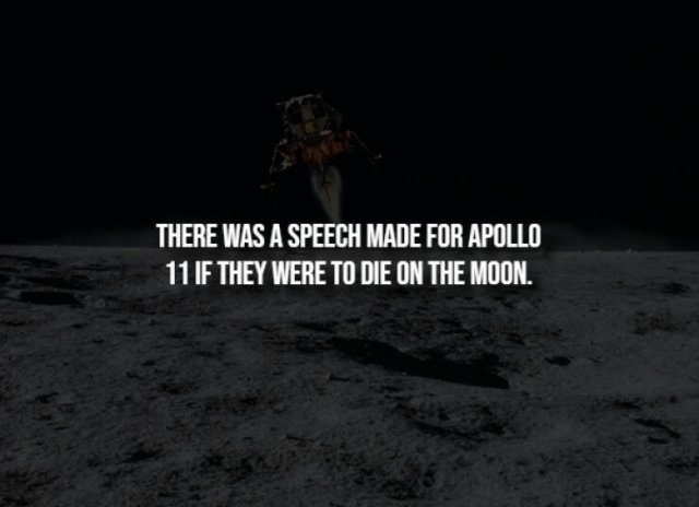 interestingfacts291_004