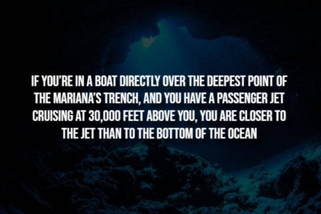 interestingfacts291_005