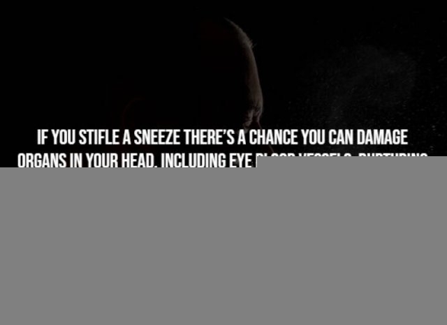 interestingfacts291_007