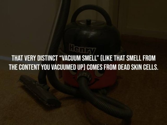 interestingfacts291_008