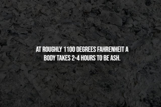 interestingfacts291_009