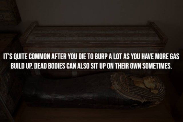 interestingfacts291_013