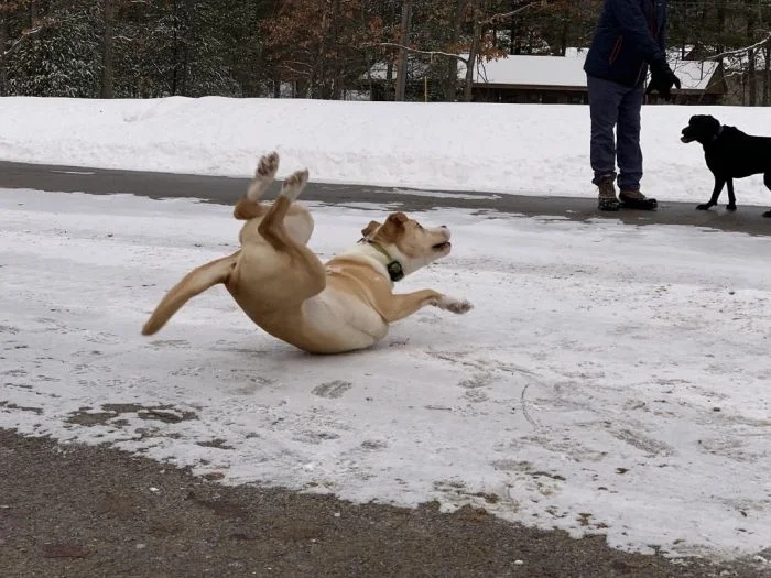 perfectphotos146_001