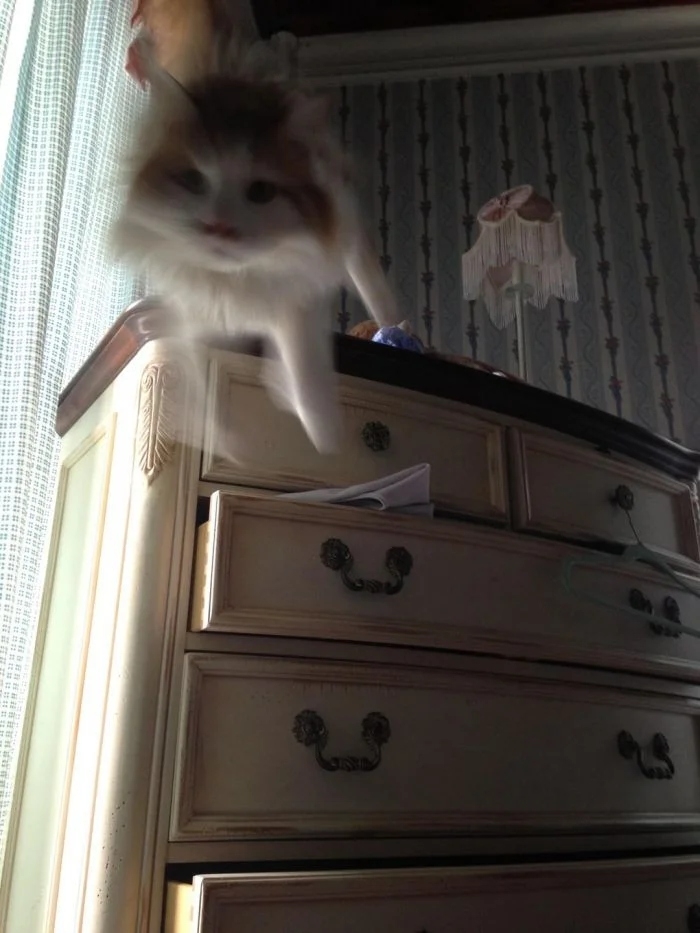 perfectphotos146_004