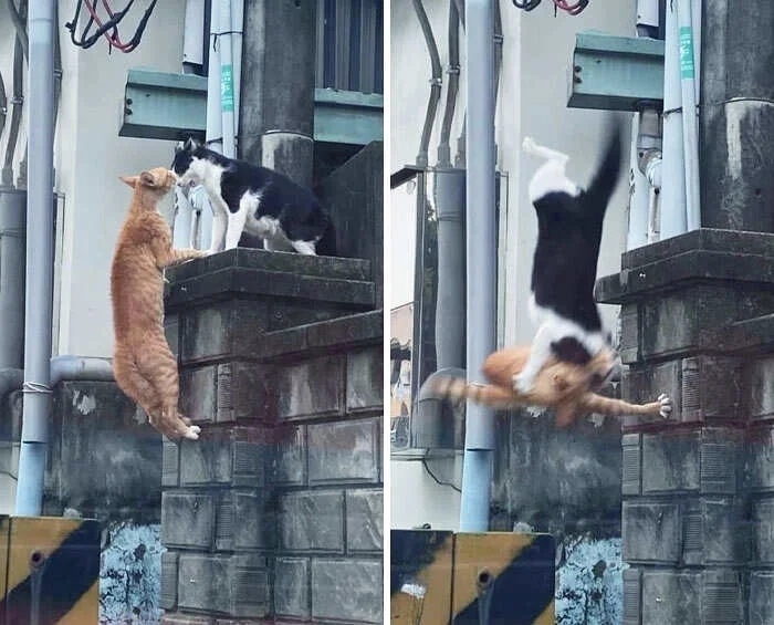 perfectphotos146_008