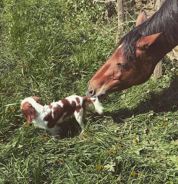 perfectphotos146_010