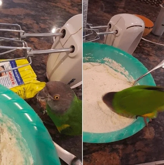 perfectphotos146_011