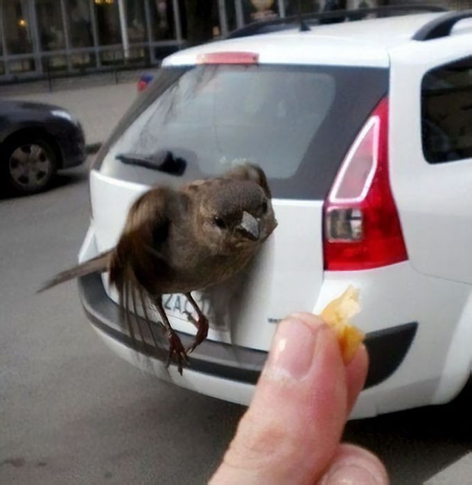 perfectphotos146_015