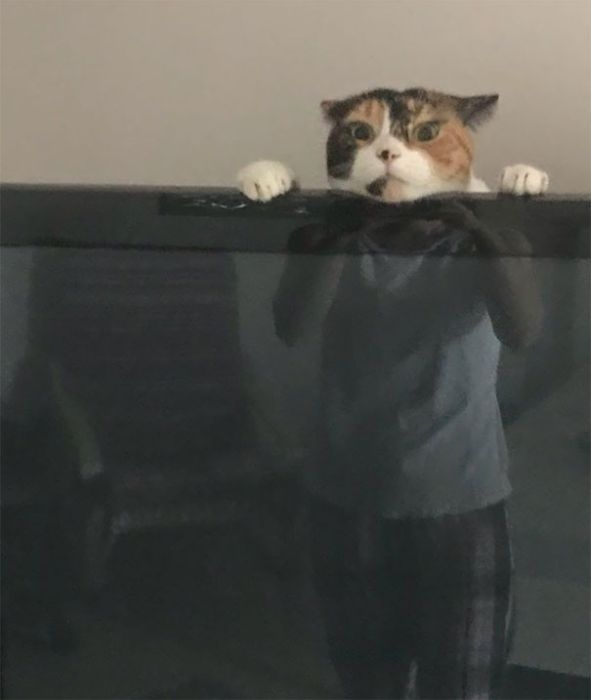 perfectphotos146_029