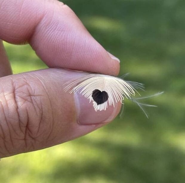 perfectphotos147_011