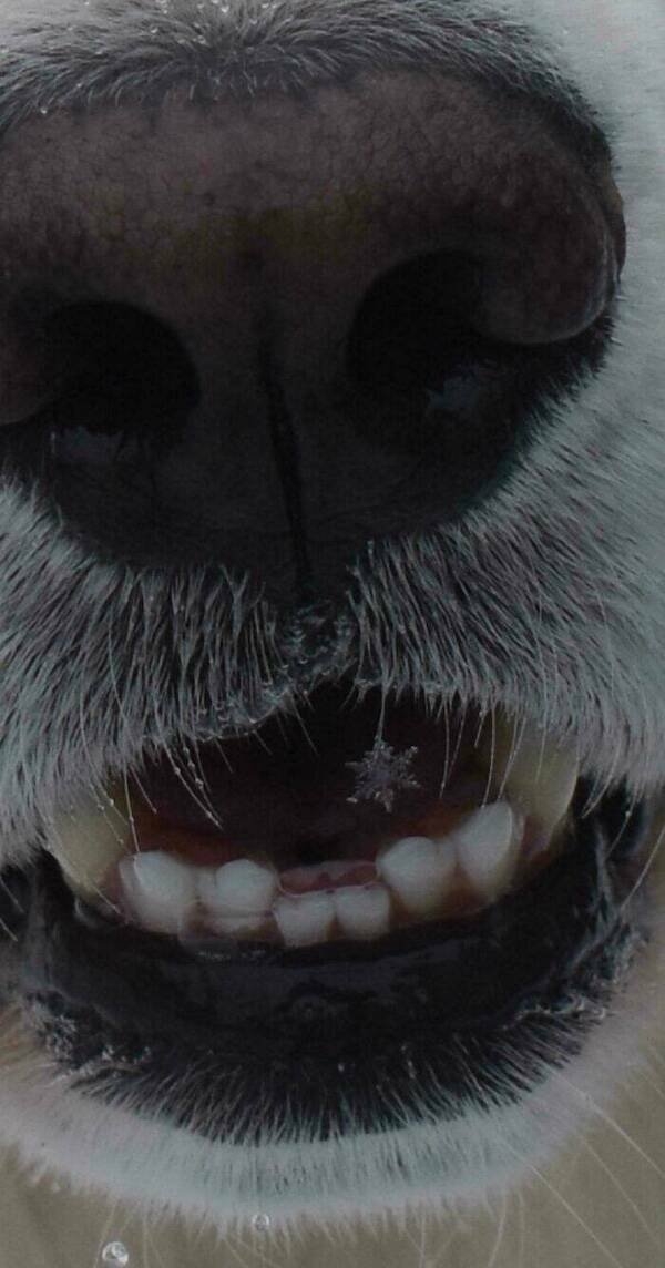 perfectphotos147_030