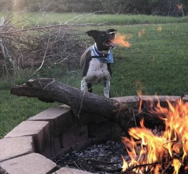 perfectphotos147_031