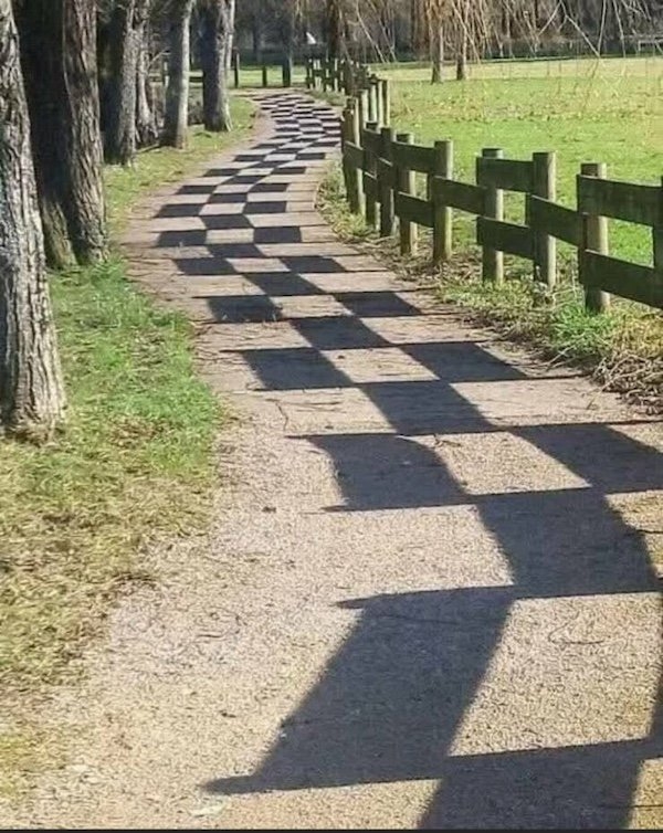 perfectphotos150_030