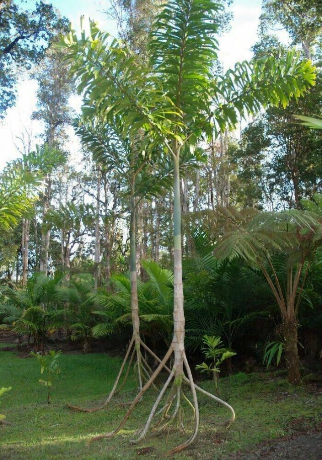randompics1760_062