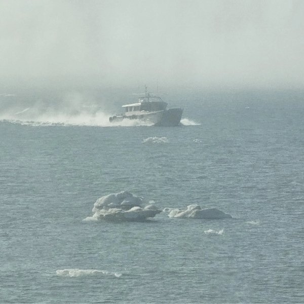 randompics1763_056